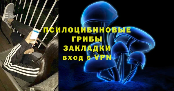 дмт Няндома